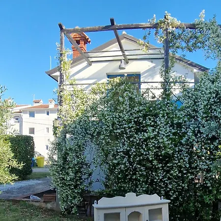 House Ivas With Garden *