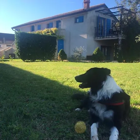 Hébergement de vacances House Ivas With Garden Zambratija (Istria)
