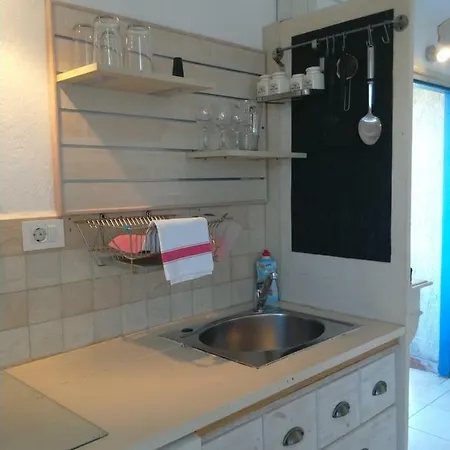 House Ivas With Garden